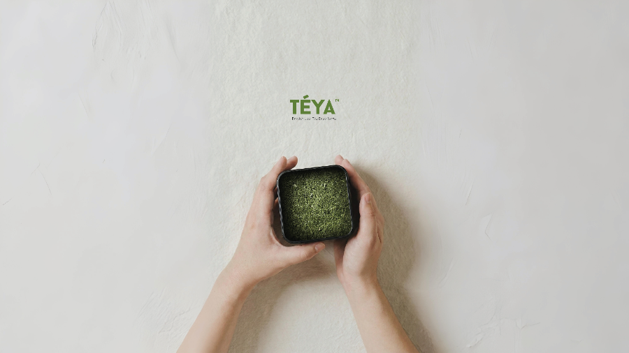TÉYA Tea Experience